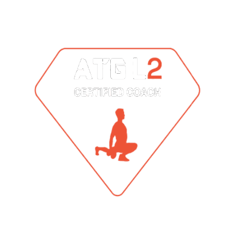 Level 2 badge