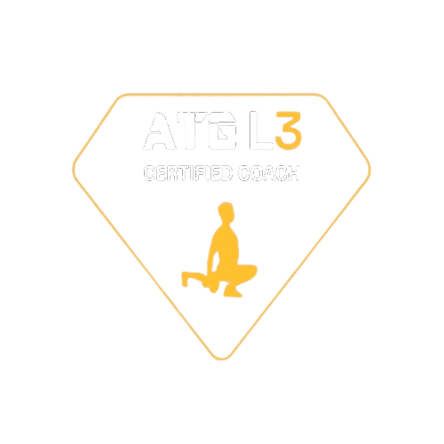 Level 3 badge